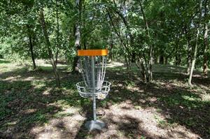 discgolf 7