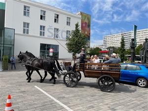 Mladoboleslavsk filmov festival 2023