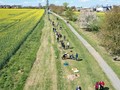 pohled z dronu